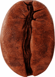 Coffee Bean